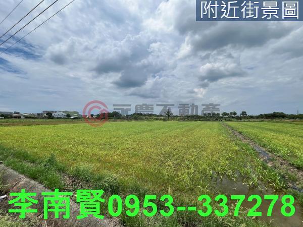 台南善化農地-4