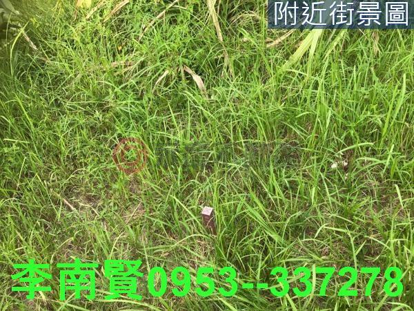 台南農地-0