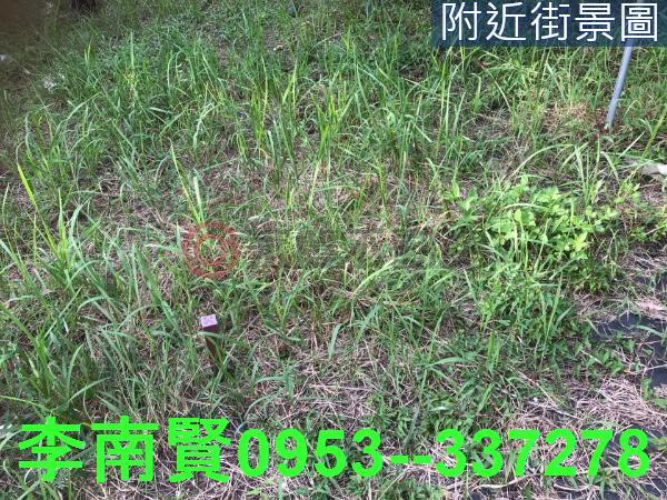 台南農地-3