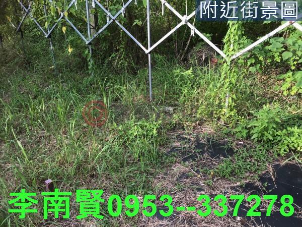 台南農地-4
