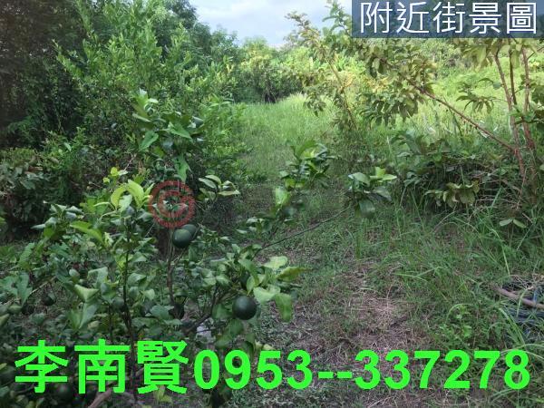 台南農地-6