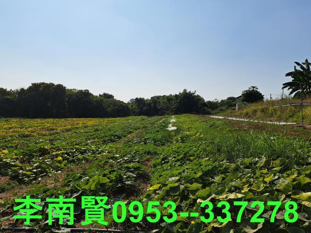 台南農地-6