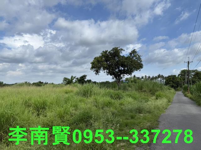 歸仁農地-4
