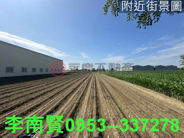 台南安定農地-2