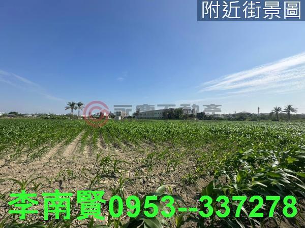 台南安定農地-3