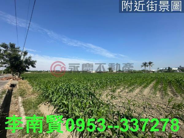 台南安定農地-4