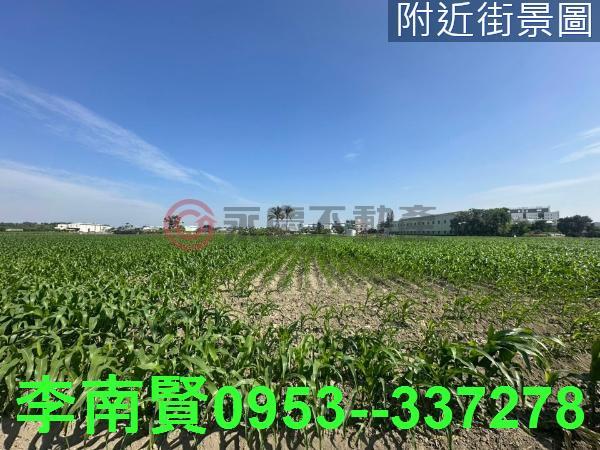 台南安定農地-5