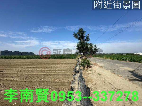 台南安定農地-8