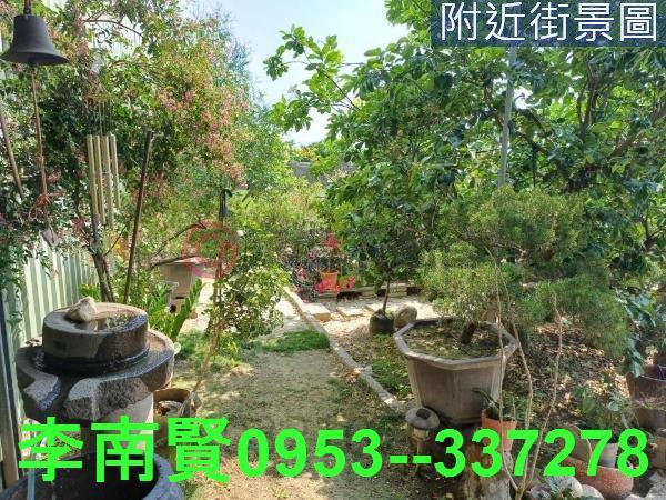 台南麻豆農地-10
