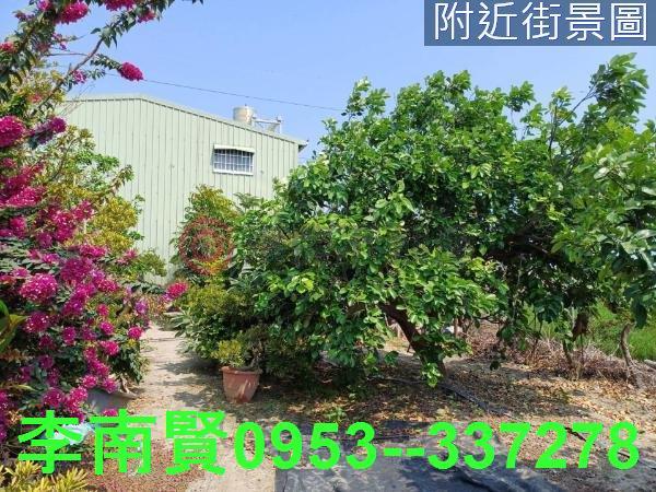 台南麻豆農地-4