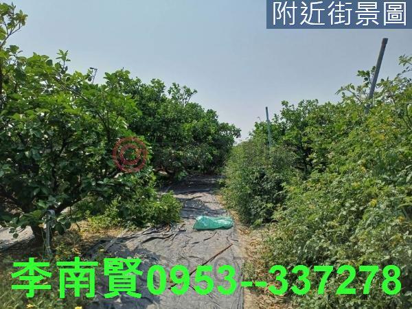 台南麻豆農地-5