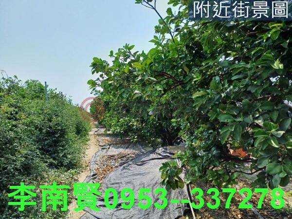 台南麻豆農地-6