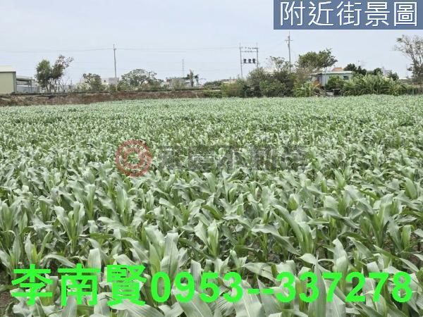 台南學甲農地-11