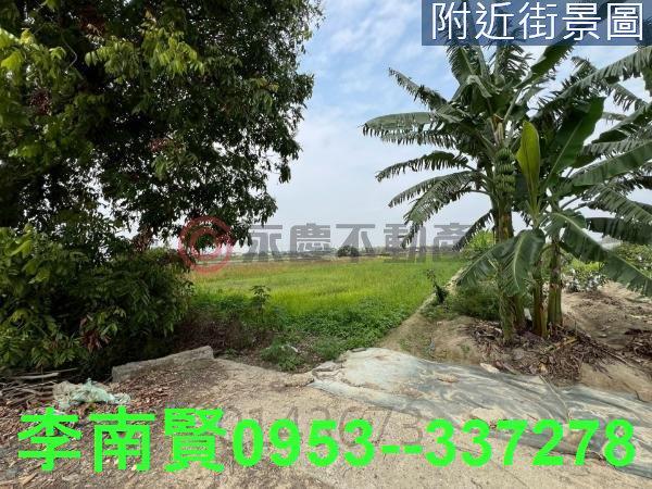 台南後壁農地-1